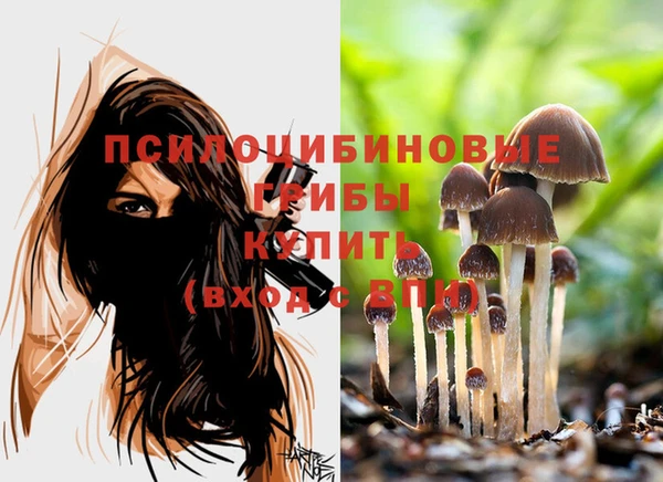 метадон Пестово