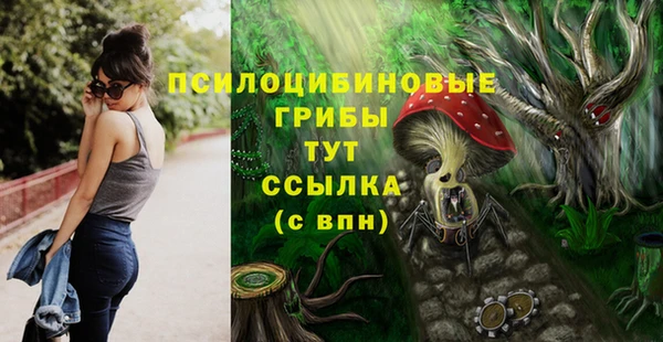 хмурый Переславль-Залесский