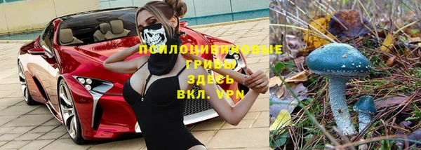 мдма Пересвет