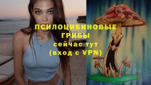 хмурый Переславль-Залесский